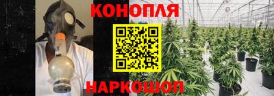 ECSTASY Ставрополь