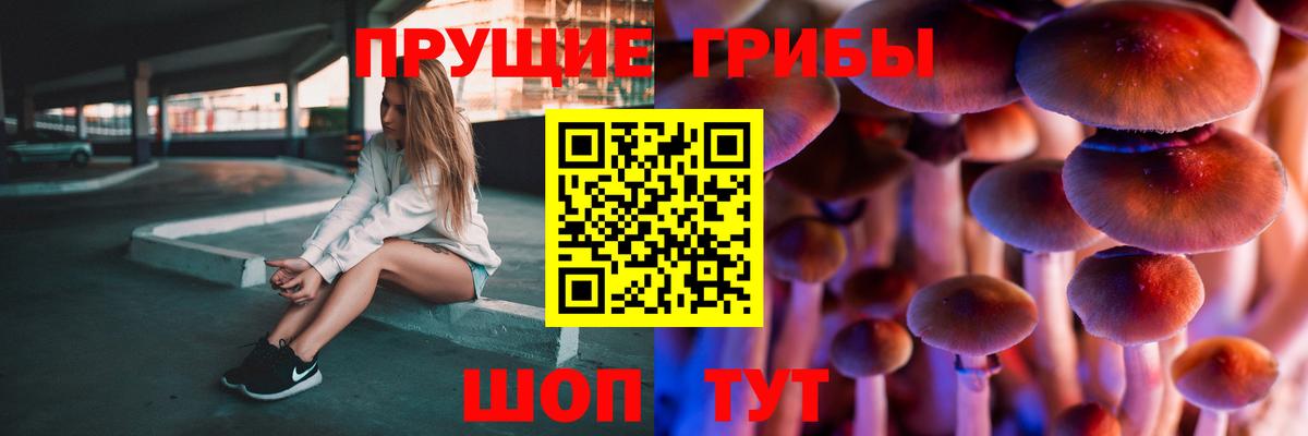 Борзя  Галлюциногенные грибы мухоморы  Псилоцибиновые грибы MAGIC MUSHROOMS  Вход с VPN 